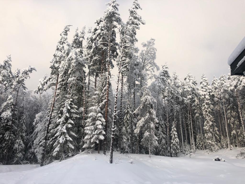 Таммико, Озерки, - цены на бронирование отеля, отзывы, фото, рейтинг  гостиницы