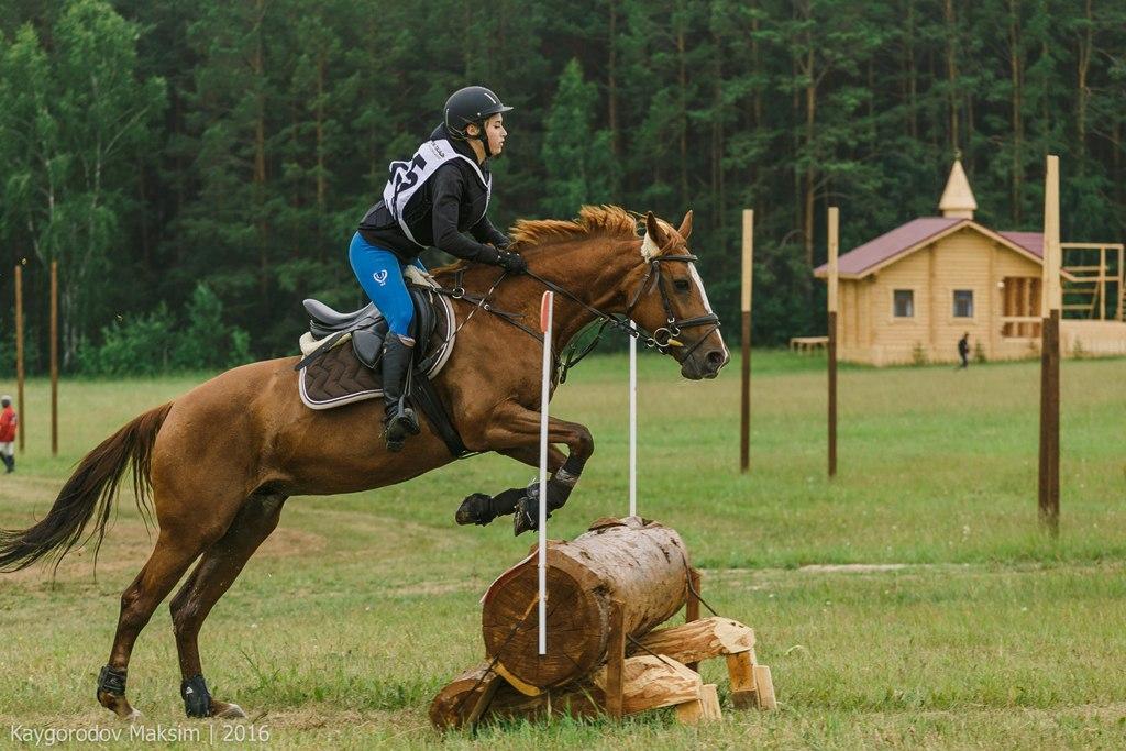 База отдыха белая лошадь