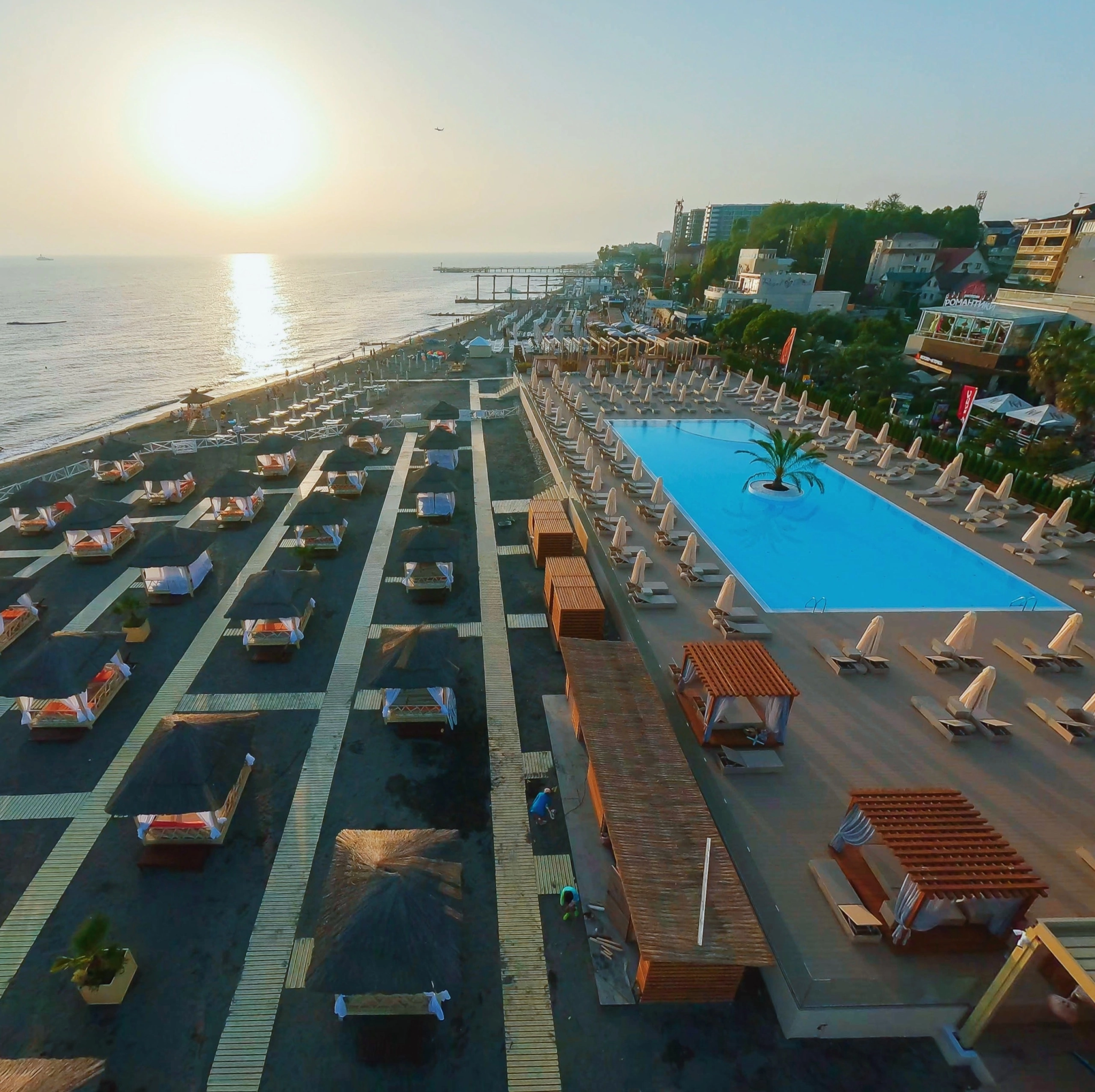 Адлер район мандарина фото Адлер район мандарина фото