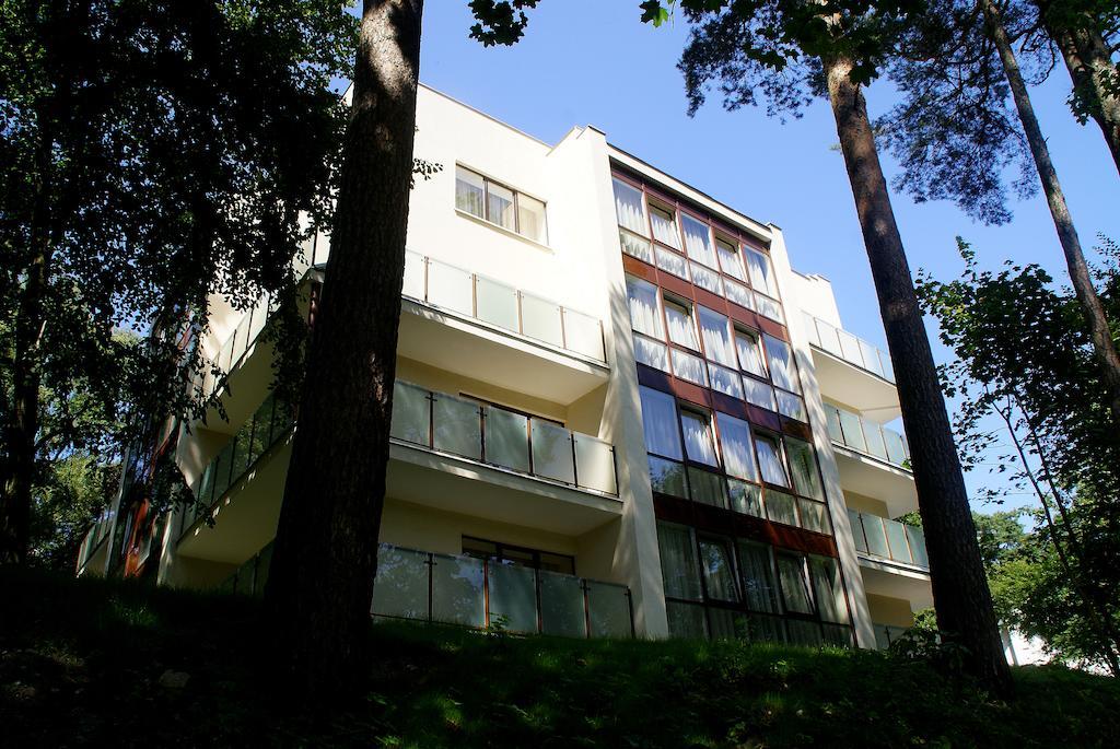 Пансионат мечта отрадное калининградская область. Светлогорский социально- оздоровительный центр «мечта». Пансионат мечта отрадное калининградская область. Санаторий отрадное в светлогорске калининградской. Лагерь мечта светлогорск.