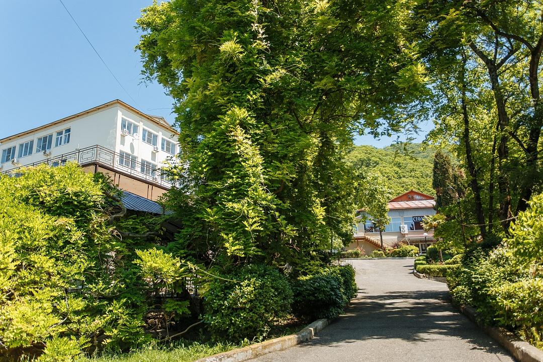 Санаторий Аврора Сочи Аше отдых путевки