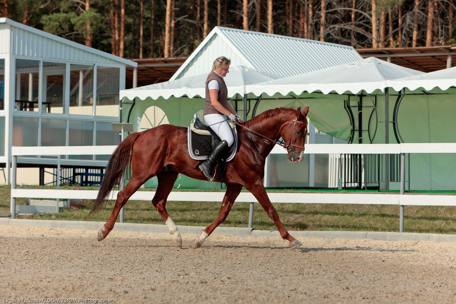 Horse екатеринбург. Белая лошадь база отдыха Екатеринбург. Белая лошадь, село Кадниково. Пансионат в Кадниково белая лошадь.