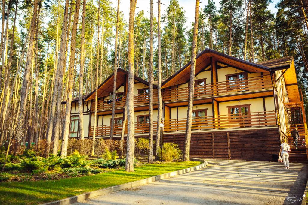 Донской лес фото Донской лес фото