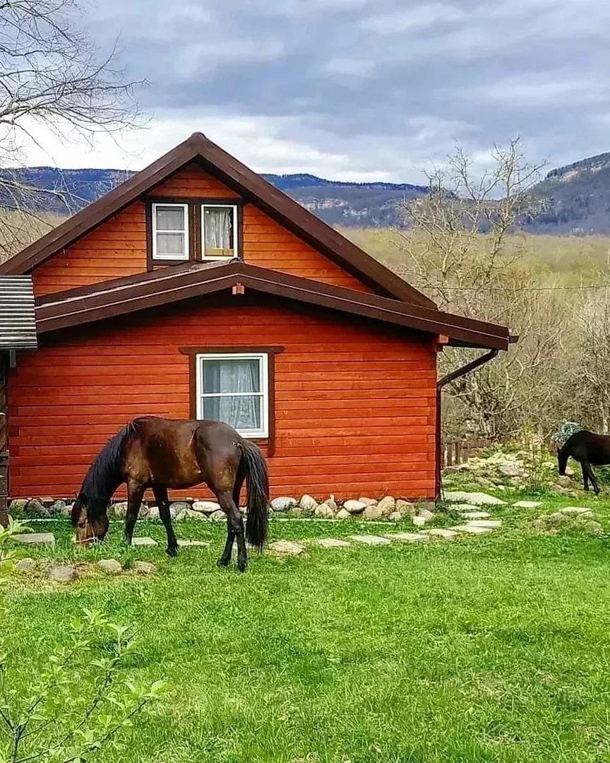 Хамышки Базы Отдыха Фото И Цены