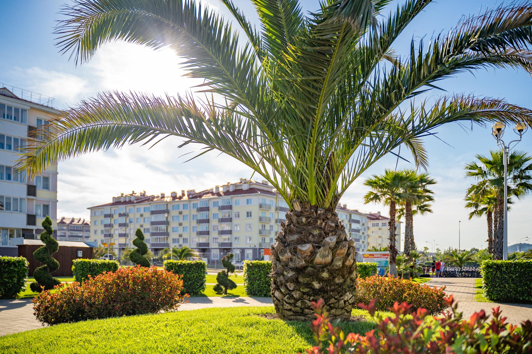 Город отель бархатные сезоны фото Город отель бархатные сезоны фото