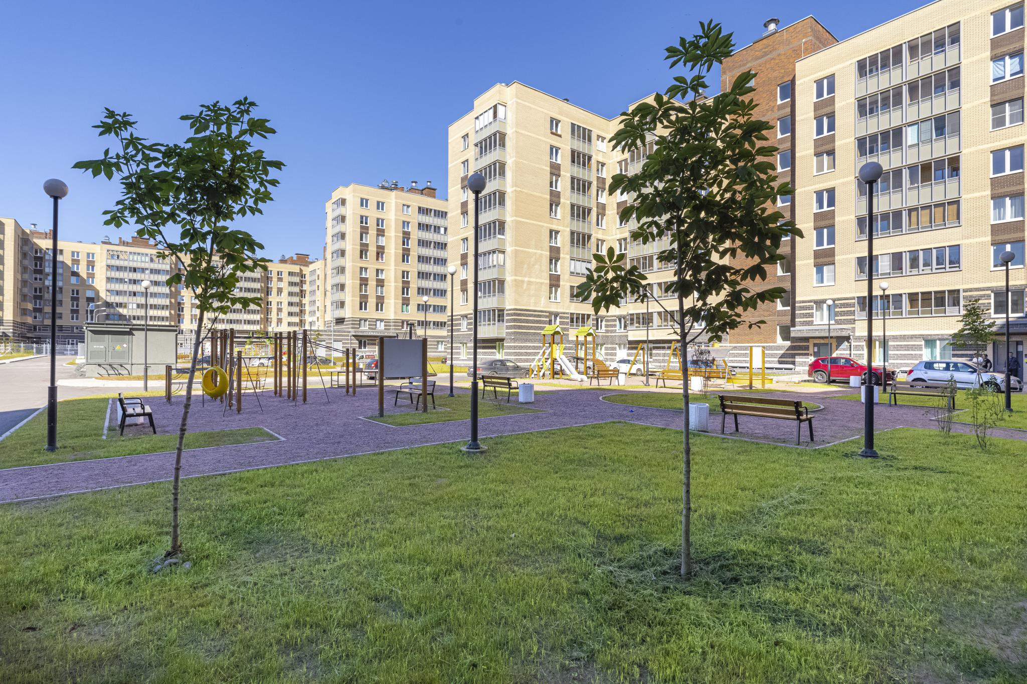 Лес пионерская ул 88 поселок песочный фото Лес пионерская ул 88 поселок песочный фото