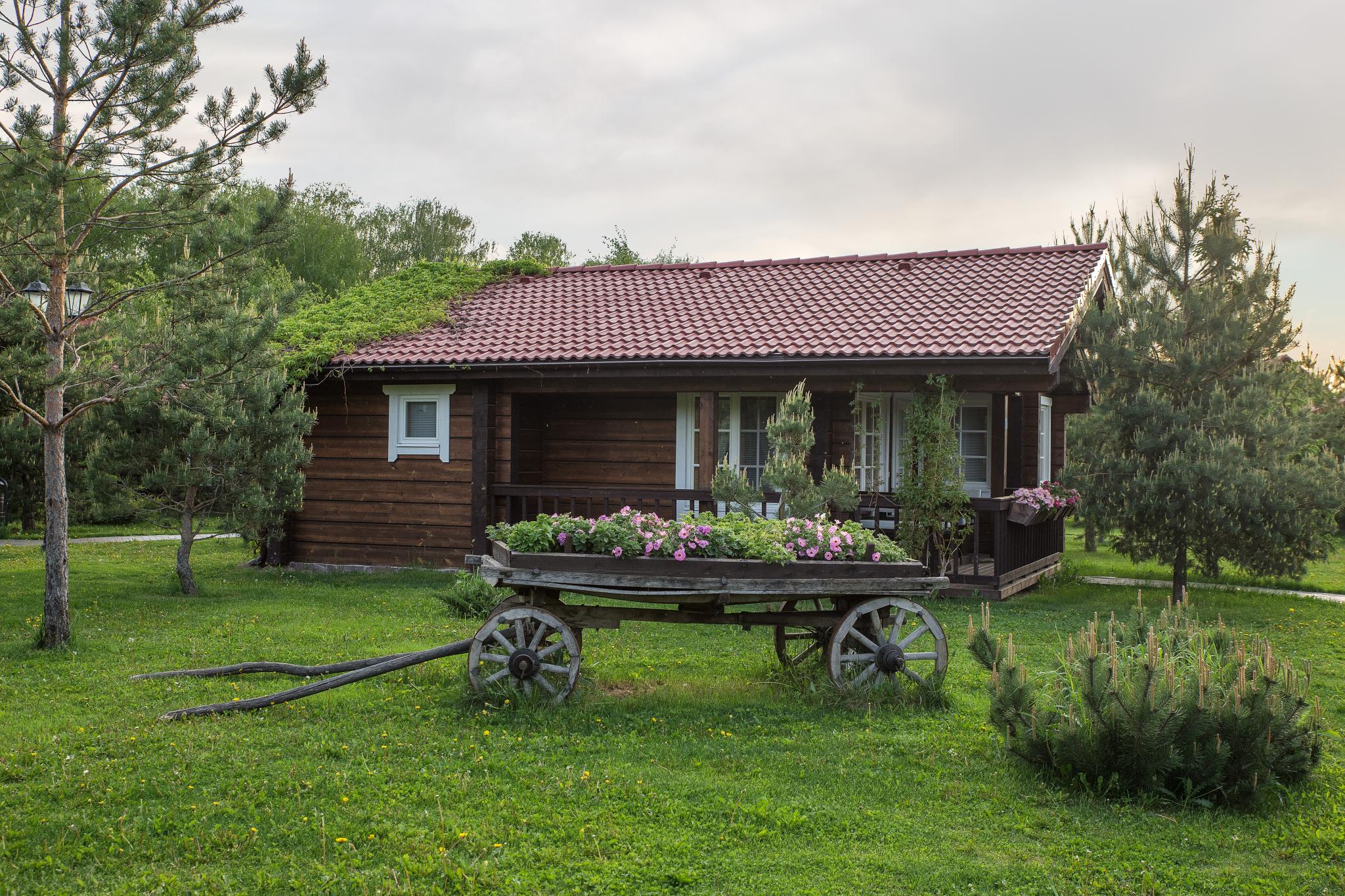 ресторан золотой сазан