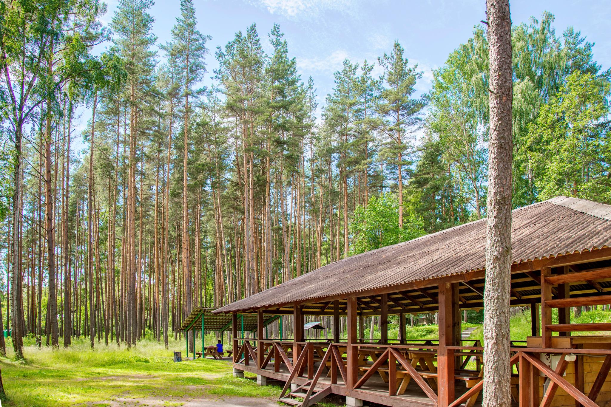 Лосево парк база. Лосево Вуокса турбаза. Лосево парк база отдыха. Лосево парк Ленинградская область.