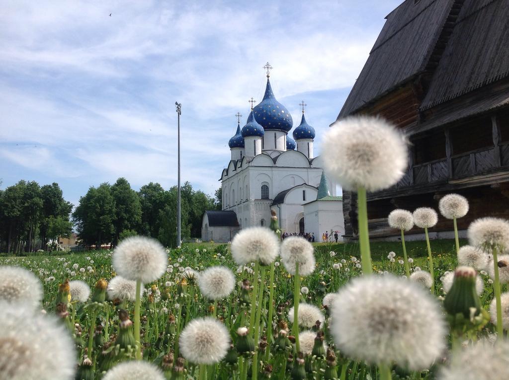 Включи суздаль