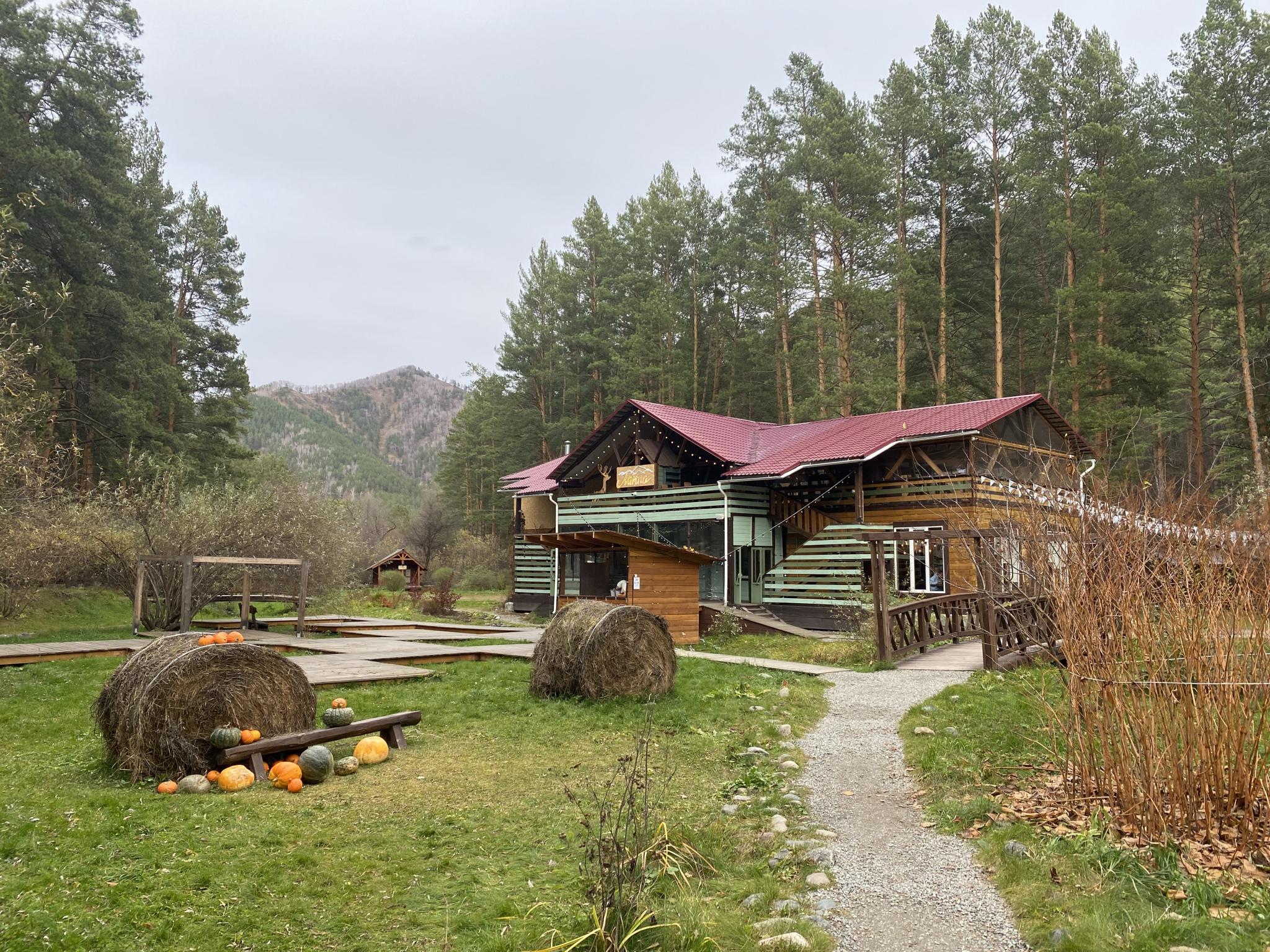 Погода в камлаке. Село Камлак Республика Алтай. Деревня Берендеевка. Эко-отель «деревня Берендеевка». Базы отдыха Камлак.