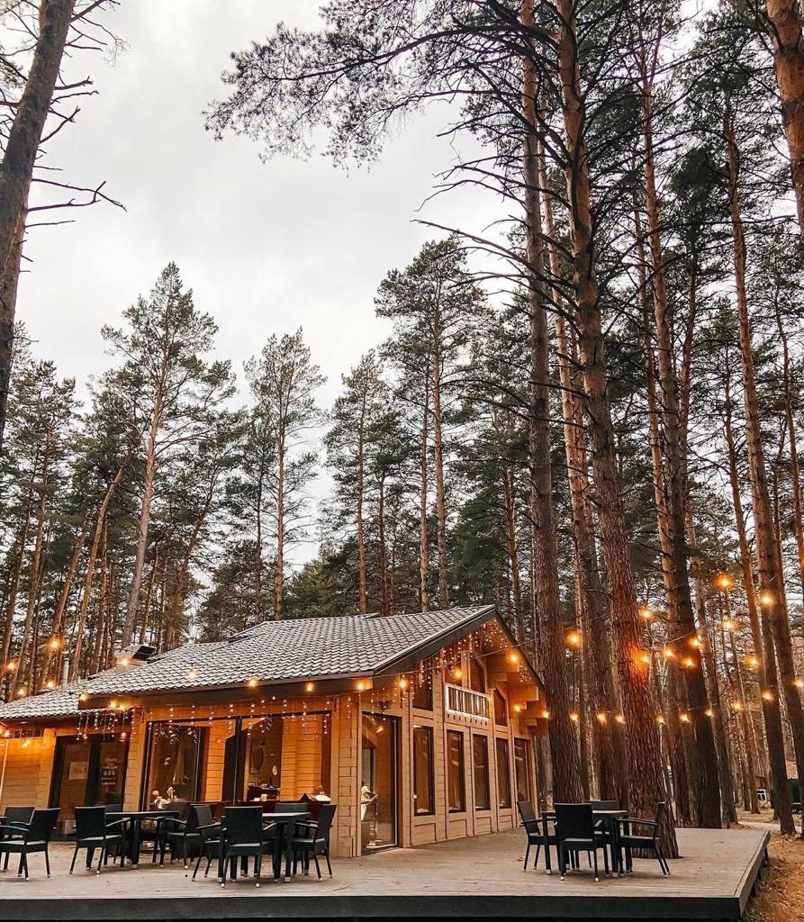 Чкаловские дачи новосибирск база отдыха фото