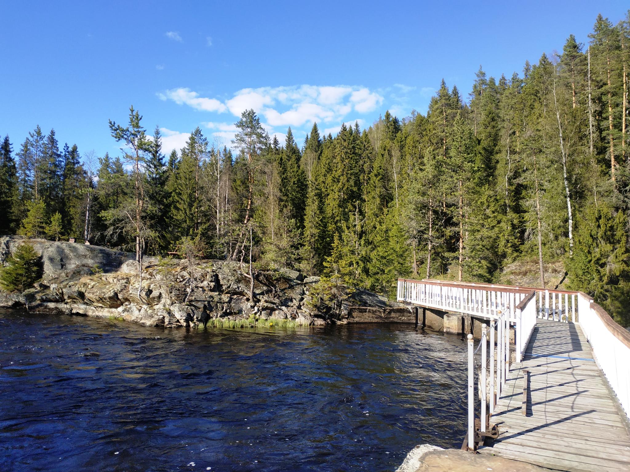 сортавала времена года база. Forest lounge карелия. карелия сортавала турбаза. база отдыха хекселя в карелии рускеала. отель времена года карелия.